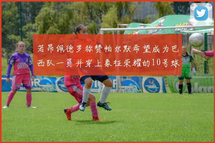 若昂佩德罗称赞帕尔默希望成为巴西队一员并穿上象征荣耀的10号球衣