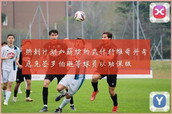 热刺计划加薪续约武什科维奇并考虑免签罗伯逊等球员以助保级