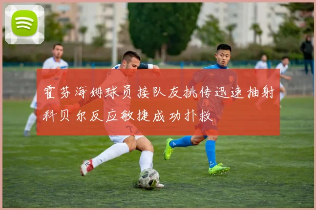 霍芬海姆球员接队友挑传迅速抽射科贝尔反应敏捷成功扑救